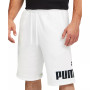 Men's Big Fleece Logo Shorts