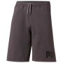 Men's Big Fleece Logo Shorts