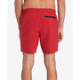 Men's Big & Tall Flag Swim Trunk
