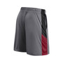 Men's Branded Gray Atlanta Falcons Big and Tall Team Shorts