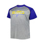 Men's Heather Gray St. Louis Blues Big and Tall Logo Raglan T-shirt