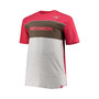 Men's Branded Red, Heathered Gray Tampa Bay Buccaneers Big and Tall Color Block T-shirt