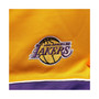 Men's Branded Gold and Purple Los Angeles Lakers Big Tall Team Shorts