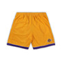 Men's Branded Gold and Purple Los Angeles Lakers Big Tall Team Shorts