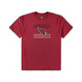 Men's Cardinal Arizona Cardinals Big and Tall Lodge T-shirt and Pants Sleep Set