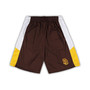 Men's Brown San Diego Padres Big and Tall Team Shorts