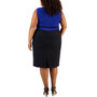 Plus Size Colorblocked Sheath Dress