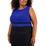 Plus Size Colorblocked Sheath Dress