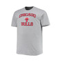 Men's Heathered Gray Chicago Bulls Big and Tall Heart and Soul T-shirt