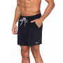 Men's 5" Quick-Dry Core Volley Swim Shorts