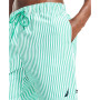 Men's Drawstring Seersucker Striped  8" Swim Trunks