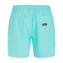Men's One and Only Solid Volley Shorts