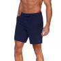 Men's Quick-Dry 7" Core Volley Swim Shorts