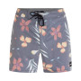Men's Phantom Naturals Sessions Drawstring 16" Boardshorts