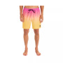 Men's Cannonball Volley Active 17" Boardshorts