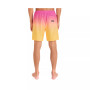 Men's Cannonball Volley Active 17" Boardshorts