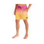 Men's Cannonball Volley Active 17" Boardshorts