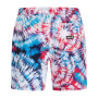 Men's Cannonball Volley Active 17" Boardshorts