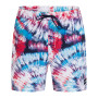 Men's Cannonball Volley Active 17" Boardshorts