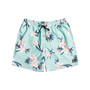 Quicksilver Men's Everyday Mix Volley 17" Swim Shorts