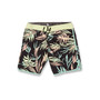 Men's Bleeding Leaf Mod 18" Boardshorts