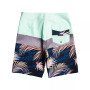 Quicksilver Men's Surfsilk Panel 20" Board Shorts