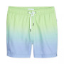 Men's Charles Ombré 5" Swim Trunks