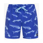 Men's Cannonball Volley 17" Boardshorts
