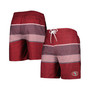 Men's Scarlet San Francisco 49ers Coastline Volley Swim Shorts