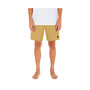 Men's Jacquard Volley 18" Hybrid Shorts