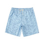 Quiksilver Men's Marlin Jig Volley Printed Shorts