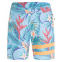 Men's Phantom+ Block Party Renegade Drawstring 18" Boardshorts