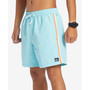 Men's Short Length Beach Please Volley 17NB Shorts