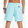 Men's Short Length Beach Please Volley 17NB Shorts