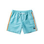 Men's Short Length Beach Please Volley 17NB Shorts
