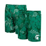 Men's Green Michigan State Spartans The Dude Swim Shorts