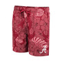 Men's Crimson Alabama Crimson Tide The Dude Swim Shorts