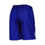 Men's Blue Tampa Bay Lightning Sea Wind Swim Trunks