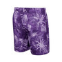 Men's Purple Washington Huskies What Else is New Swim Shorts