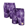 Men's Purple Washington Huskies What Else is New Swim Shorts