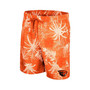 Men's Orange Oregon State Beavers What Else is New Swim Shorts