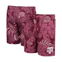 Men's Maroon Texas A&M Aggies The Dude Swim Shorts