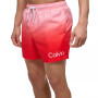 Men's 5" Ombré Gradient Stripe Swim Trunks