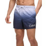 Men's 5" Ombré Gradient Stripe Swim Trunks