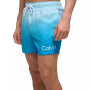 Men's 5" Ombré Gradient Stripe Swim Trunks