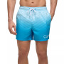 Men's 5" Ombré Gradient Stripe Swim Trunks