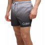 Men's 5" Ombré Gradient Stripe Swim Trunks