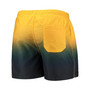 Men's Gold, Green Green Bay Packers Dip-Dye Swim Shorts