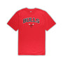 Men's Red, Heather Gray Chicago Bulls Big and Tall T-shirt and Pajama Pants Sleep Set