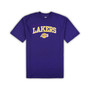 Men's Purple, Heather Gray Los Angeles Lakers Big and Tall T-shirt and Pajama Pants Sleep Set